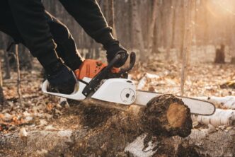 Lumberjack in safety gear prepares a Stihl chainsaw in a serene forest setting.